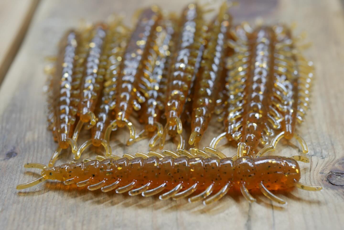 Fools Gold🥇🎣
Start off the new year catching fish‼️
Find these under the “custom shop” tab on our website🔥
jollybaitcompany.com