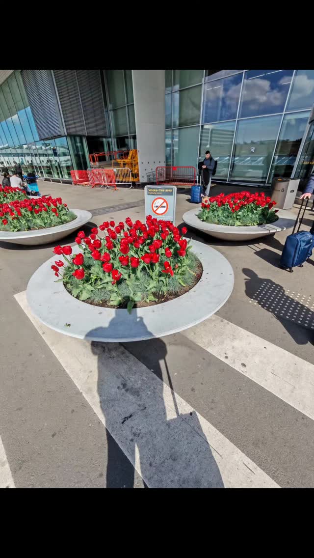 Viime viikon lopussa yrityksemme hallitus ja ylin johto vieraili Amsterdamissa ja sen ympäristössä tapaamassa yhteistyökumppaneita ja hakemassa inspiraatioita Amsterdamin upeista puutarhoista, puistoista ja myymälöistä.
Edellisessä kelassa oli kooste Keukenhoffin päivästä ja tässä koosteessa muut päivät.
#fspapaveroy
#b2b
#hollanti
#netherlands
#amsterdam
#puistotjapuutarhat
#parks
#garden
#kevät
#spring
#inspiraatiot