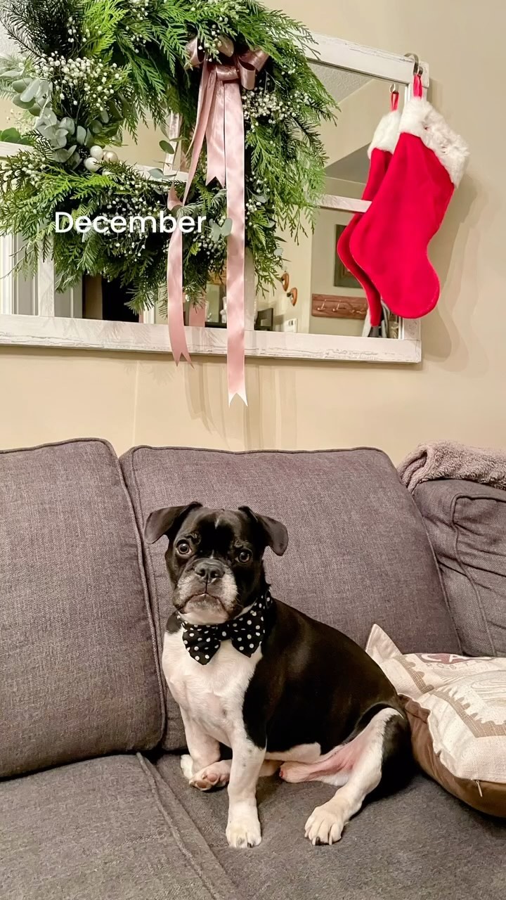 What a year! I’ve been pacing, planning my next rest to do more with less. As I reflect on this quick recap of 2023, my dedication to pacing is working. Despite going against the societal norm of hustle culture and navigating the way my brain is wired, pacing proves to be extra challenging. However, in order to enjoy the little moments in life, pacing and planning my next rest have proven to be effective for my body. In 2024, I’m committed to continuing this new way of living and retraining my brain. I’m proud of the hard work I’ve put into my mind and body. Taking it day by day, I can truly appreciate and savor those little moments. I hope you too can find joy in the little moments in 2024. Cheers.
.
.
.
.
.
#newyear #newyearseve #commit #health #wellness #wellnessjourney #proud #happiness #love #whatayear #yearinreview #2023 #happynewyear #resolution #reflection #family #friends