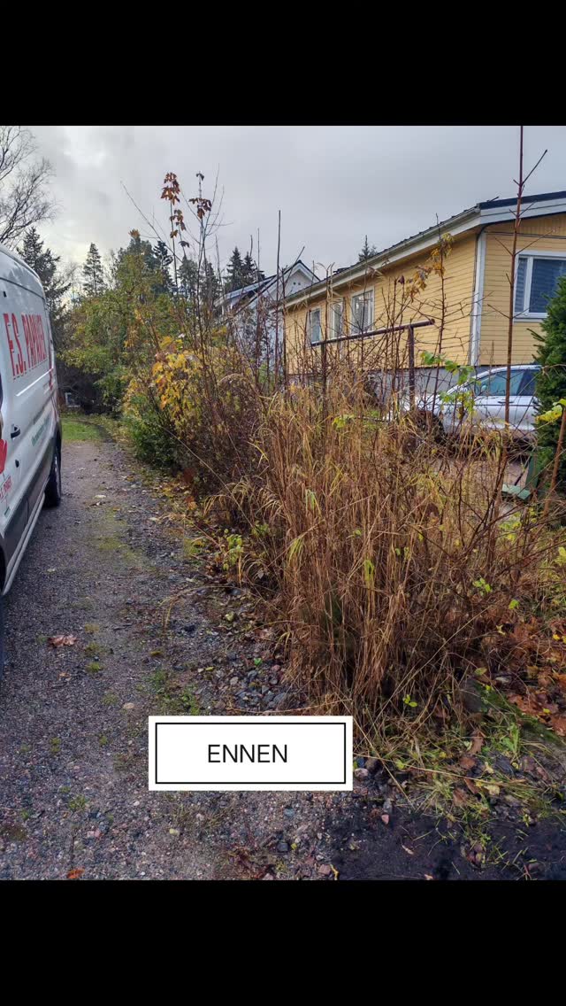 Viime viikolla kävimme siistimässä vanhan orapihlaja aidan ja paikka istuttamassa siihen uusia n 1 m korkuisia taimia. Lopuksi leikkasimme aidan samaan korkeuteen uusien taimien kanssa.
Vanhan aidan sekaan oli kasvanut puun taimia ja muiden pensaiden taimia sekä heinää.
#fspapaveroy
#viheralueidenylläpito
#pensaidenleikkaus
#orapihlajaaita
#kasvillisuustyöt
#pensaidenistutus
#asiakastyytyväisyys