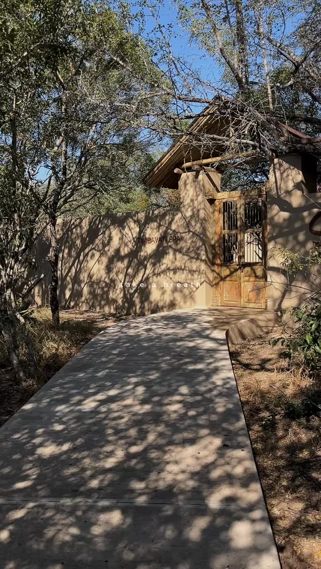Out here, peace and quiet isn’t something you book, it’s simply part of the landscape.
Our spa is small, personal, and tucked into the stillness of the bush, designed for guests who want to slow down properly between game drives. It’s exclusively for those staying with us on safari, so it always feels private and unhurried.
Whether you’re after a deep massage, a calming facial, or just a quiet moment to reset, your butler will arrange everything for you right here on the property.
Natural, simple, and soothing, just the way a bush spa should be.
#safari #africansafari #wildlifeofsa #wildlifesafari #wildlifeofinstagram krugernationalpark thornybushgamereserve luxurysafari luxurysafarilodge travelsouthafrica southafricasafari big5 conservation thisissouthafrica soulful_moments wildlife