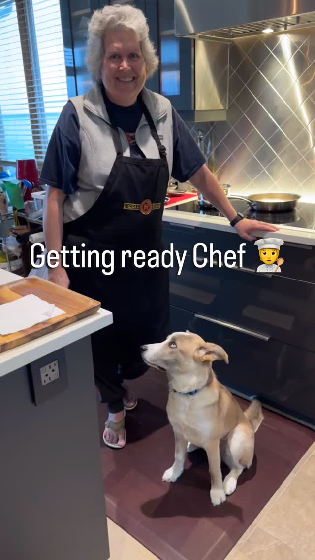 My Sous Chef locked and loaded ready to help. #aleviaskitchen #lifeontheriver #foodblogger #homemadefood