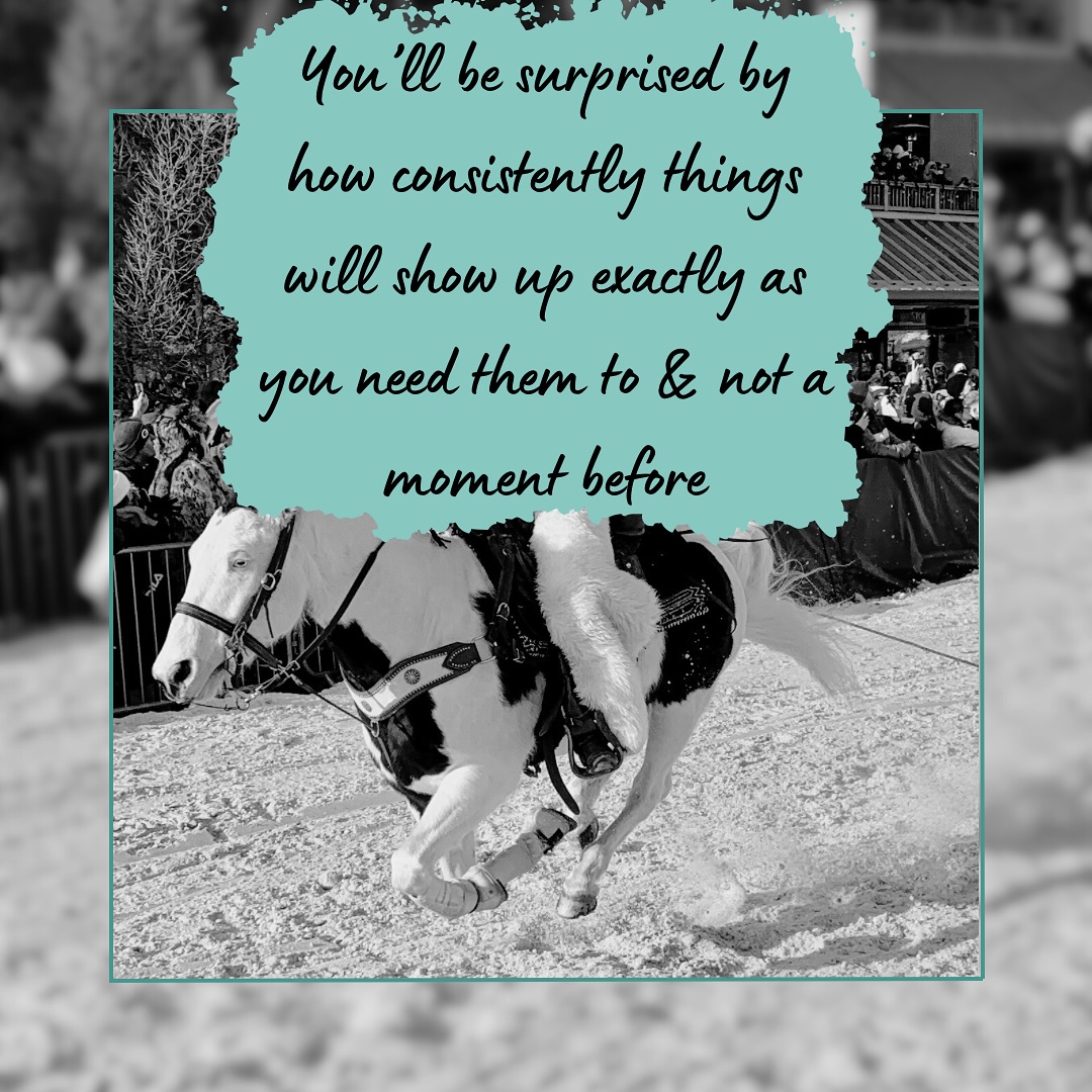 โจ ๐๐จ๐ฎโ๐ฅ๐ฅ ๐๐ ๐ฌ๐ฎ๐ซ๐ฉ๐ซ๐ข๐ฌ๐๐ ๐๐ฒ ๐ก๐จ๐ฐ ๐๐จ๐ง๐ฌ๐ข๐ฌ๐ญ๐๐ง๐ญ๐ฅ๐ฒ ๐ญ๐ก๐ข๐ง๐ ๐ฌ ๐ฐ๐ข๐ฅ๐ฅ ๐ฌ๐ก๐จ๐ฐ ๐ฎ๐ฉ ๐๐ฑ๐๐๐ญ๐ฅ๐ฒ ๐๐ฌ ๐ฒ๐จ๐ฎ ๐ง๐๐๐ ๐ญ๐ก๐๐ฆ ๐ญ๐จโ& ๐ง๐จ๐ญ ๐ ๐ฆ๐จ๐ฆ๐๐ง๐ญ ๐๐๐๐จ๐ซ๐ โจ
โข
Horses are SUCH GOOD teachers. They teach us patience, trust, and timing. Whether itโs progress in training, finding the right opportunity to do something new, or deepening our connection, things fall into place when weโre readyโ NOT when rushed!!
โข
Trust the process, what is meant for you will find you at the exact time itโs meant too. Letโs build patience in ourselves and our horses. Letโs build the confidence that everything is unfolding exactly as it should.
โข
Was there a moment in your horse journey that showed up exactly when you needed it?? Share below โฌ๏ธโฌ๏ธ
#equine #equinesportstherapy #pony #equinebodywork #horses #patience #consistency #quoteoftheday