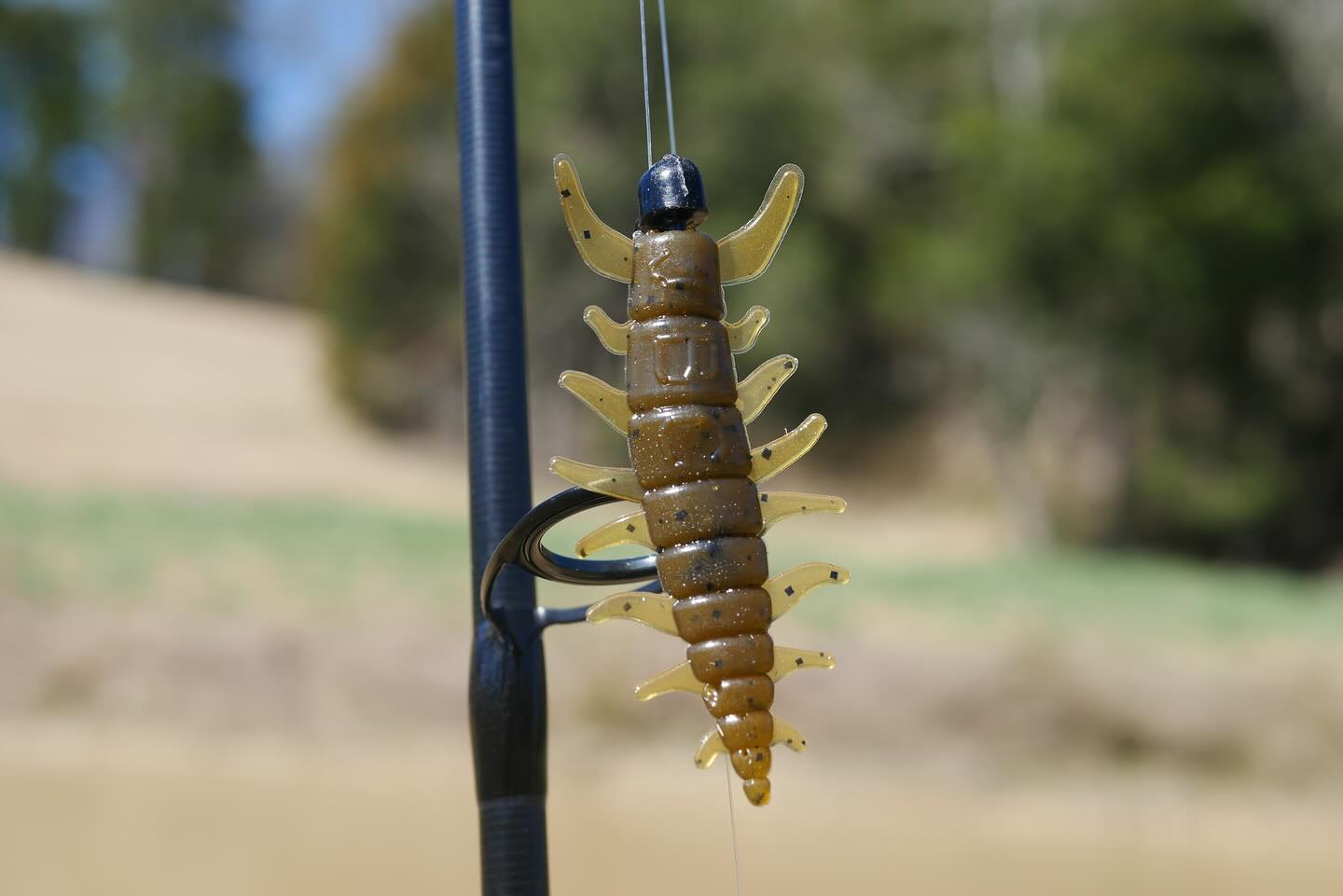 The Next BEST Bait‼️‼️
Newly designed, nothing like this before🤩🫡
“Elkhorn Hellgrammite”
jollybaitcompany.com