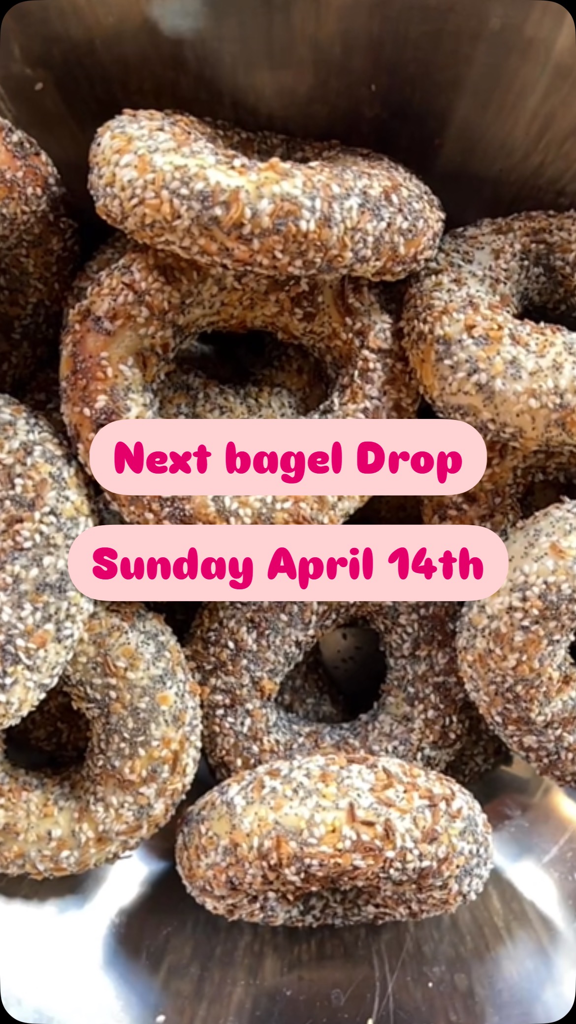 🚨 🥯 🚨 Our next batch of @mtlbagelstucson drop on Sunday April 13! Pre-order your bagels today! 🔗 ⬇️
https://www.mtl-bagels.com
#bagels #tucsonfoodie #supportlocal #mtlbagels #tucsonaz🌵