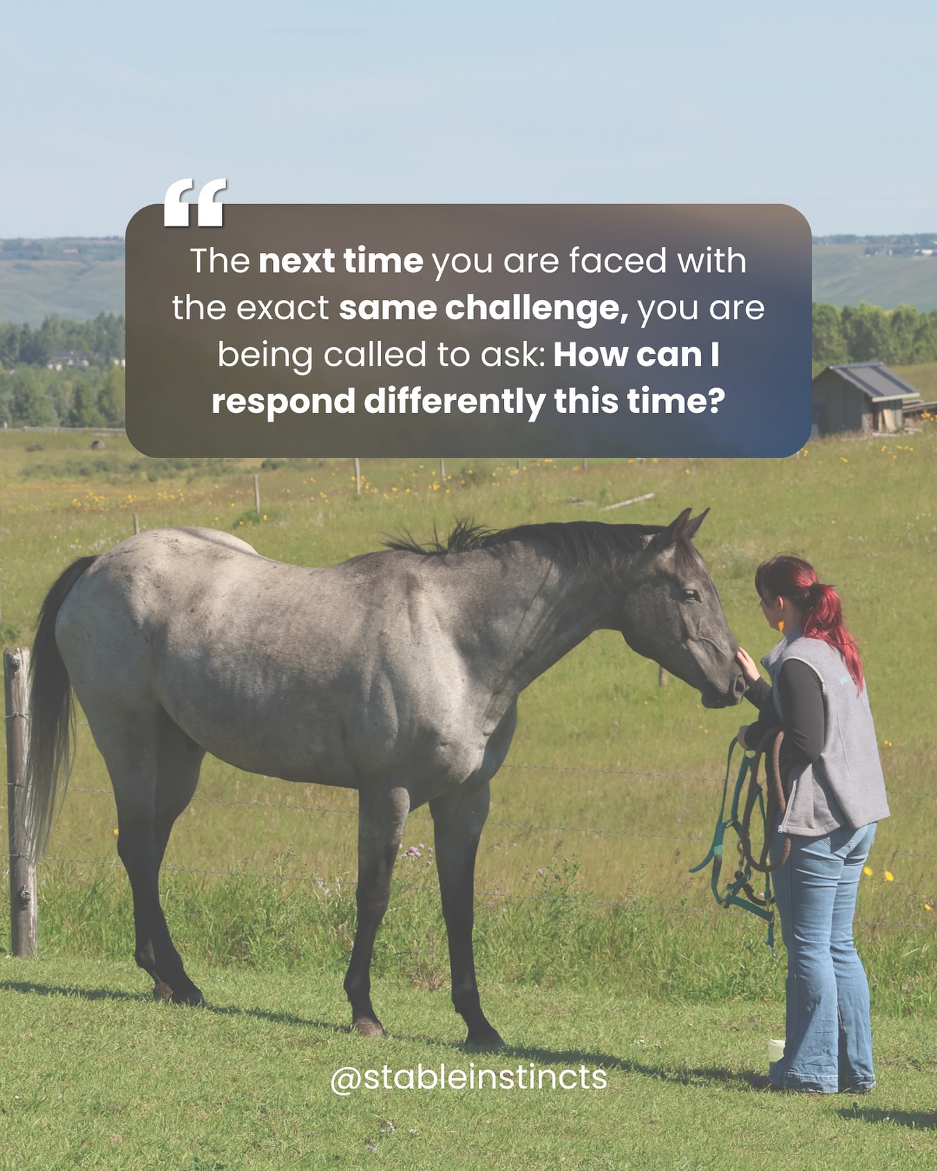Horses will always mirror us. If we keep showing up the same way, weโll keep getting the same response. The next time that challenge circles back โ in the arena, on the ground, or in life โ pause and ask: what can I do differently this time?
โข
๐ฑ Growth isnโt about perfection, itโs about improvement, one small change at a time.
โข
If this resonates, share it forward โ someone else may need this reminder today.