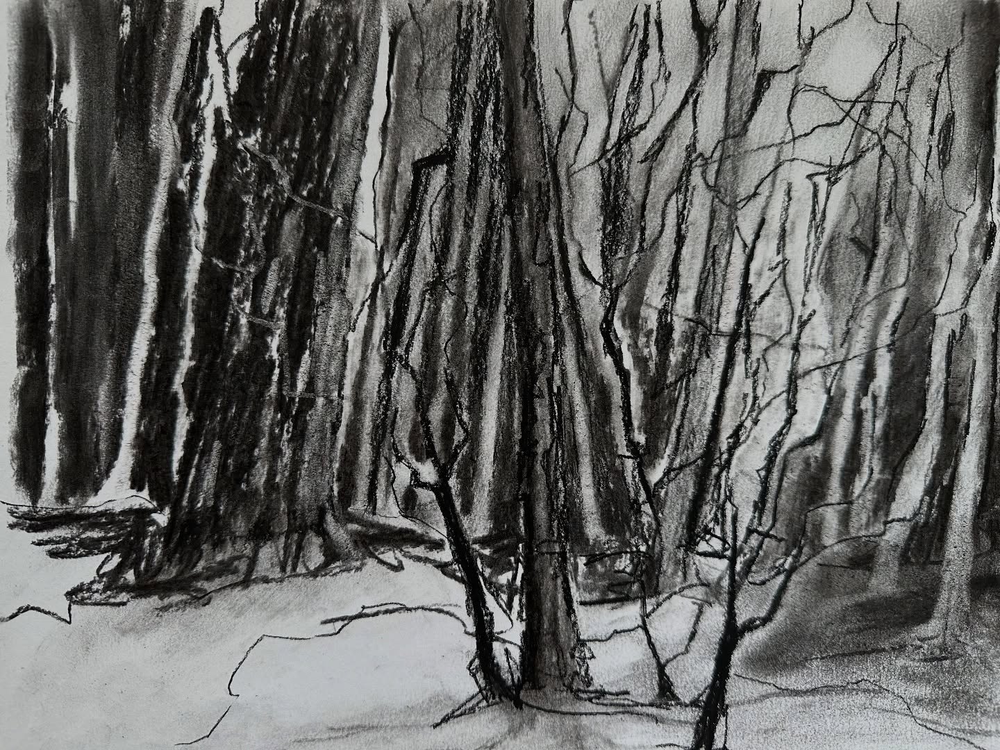 Charcoal forest studies — focusing on rhythm, shapes and contrast. Might explore this further in paint.
#charcoaldrawing #foreststudy #tonalvalues #artprocess #blackandwhiteart #sketchbookstudies #contemporarydrawing #landscapeart