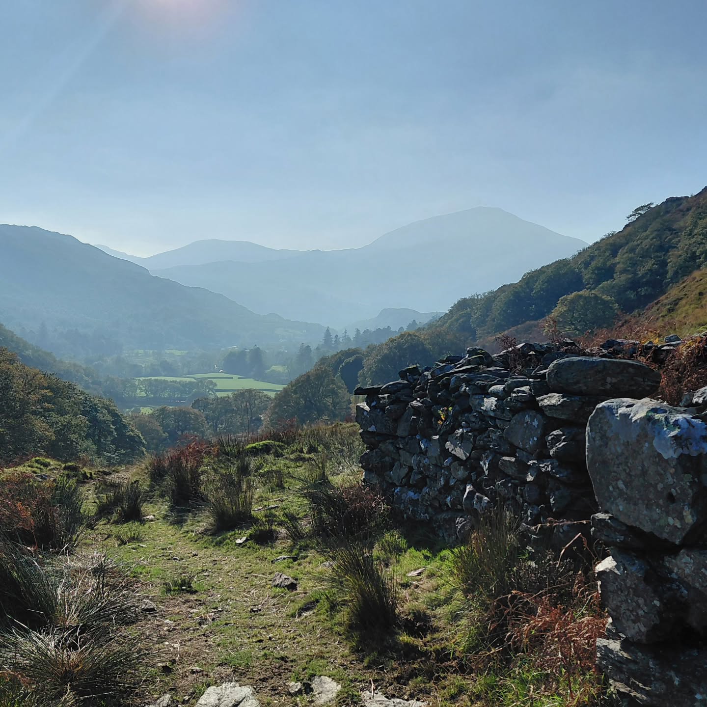 Beautiful Autumn afternoon walk☀️
Pnawn bendigedig i cerdded o gwmpas ardal Nantgwynant a Beddgelert.
#nantgwynant #beddgelert #hazydays #eryri
#mountainfarm #adre #countrylife #home