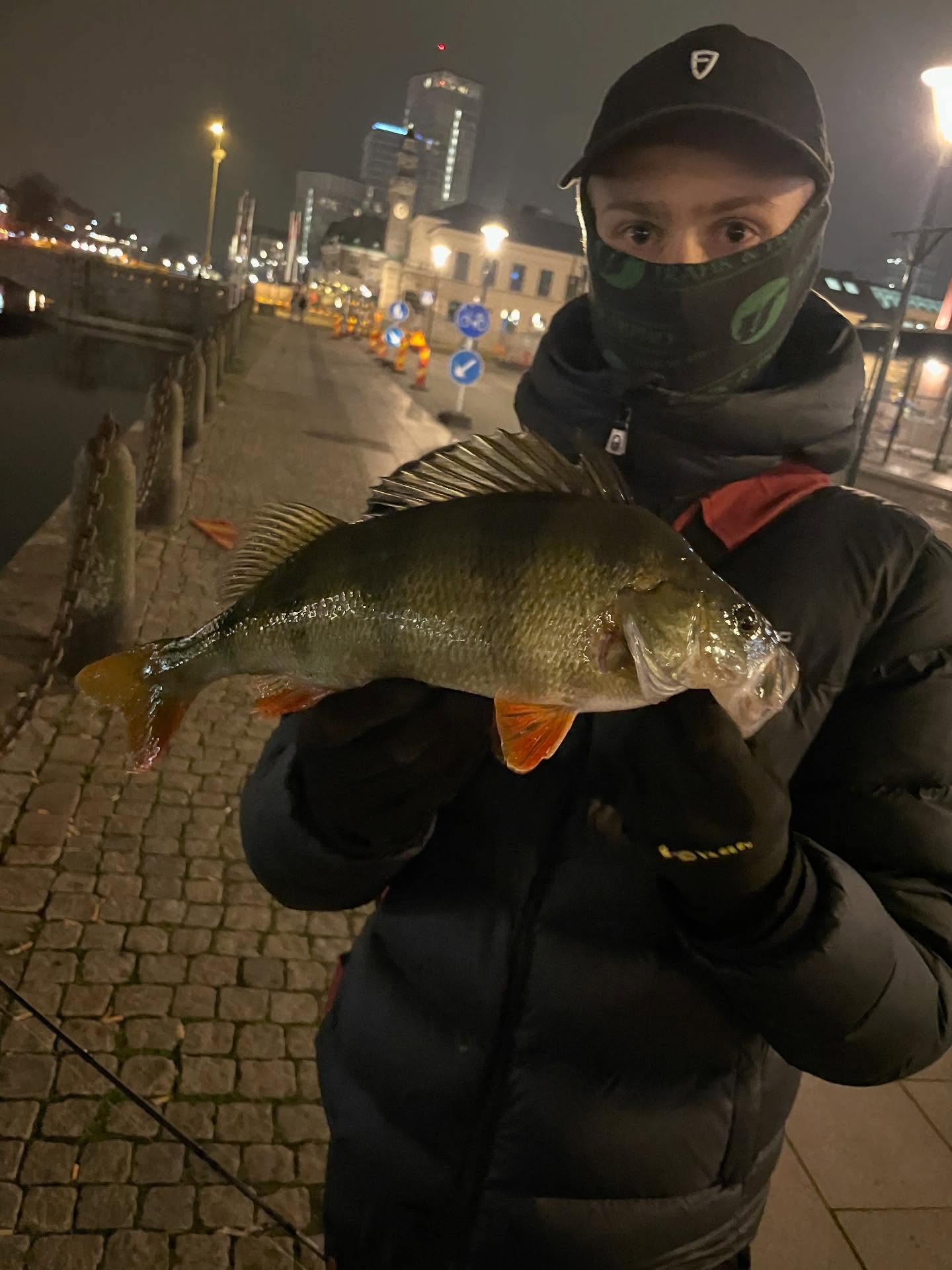 #fishing #fiske #aborre #abborrfiske #perch #perchfishing #bass #bassfishing