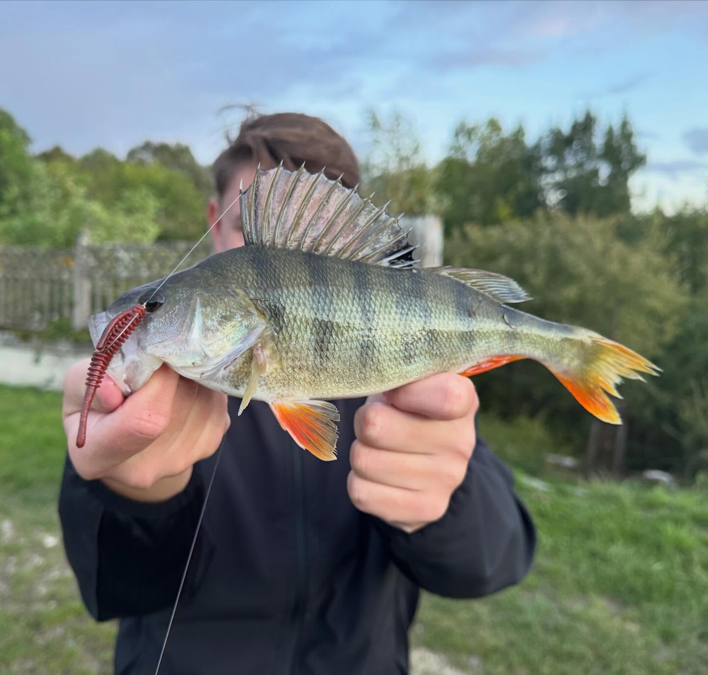 Matinée très fraîche 🥶 les poissons étaient plaqués sur le fond donc je sors le combo ma....