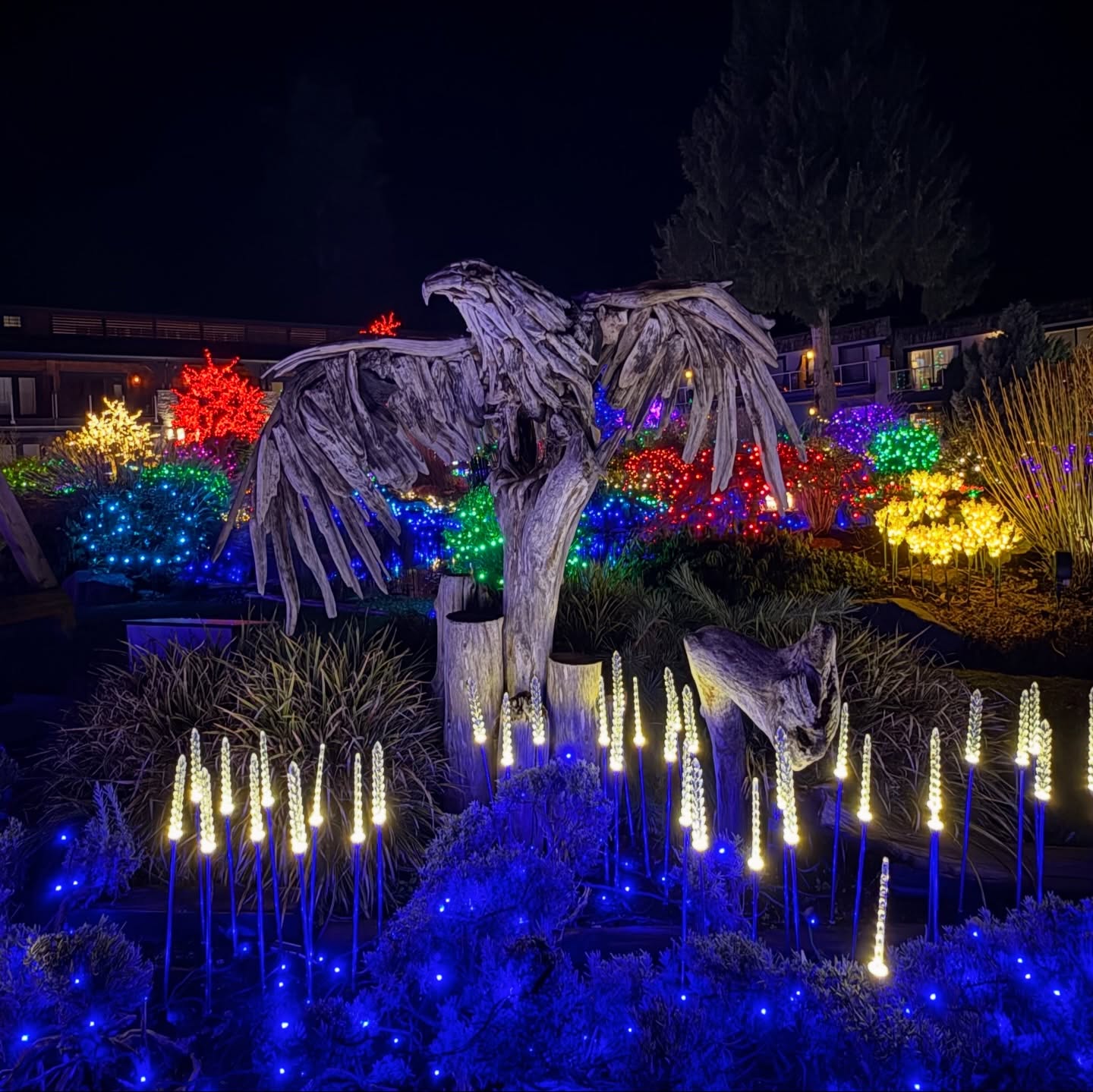 ✨ A whirlwind week on the West Coast ✨
First stop: Vancouver for Where’s the Patient Voice in Health Professional Education? Grateful to share the Clear & Inclusive Writing Guide that @jesstaywriter and I co-wrote with @camhnews — and to finally bring this work into a room full of people who care about changing how we communicate in healthcare.
(You can read about it in the @healthy_debate piece — link in bio 💜)
Then a much-needed reset on Vancouver Island with @peter_leahy . Ocean air, quiet mornings, the Hydropath and healing caves at @kingfishersparesort , and the most magical 7-course menu created just for me by Chef @danaiho — fully MCAS/GGM-friendly and unbelievably delicious. Dinner in a skydome under the lights didn’t hurt either ✨
Feeling refilled, grateful, and so inspired by the mix of purpose + rest this week brought.
🤍 Emily