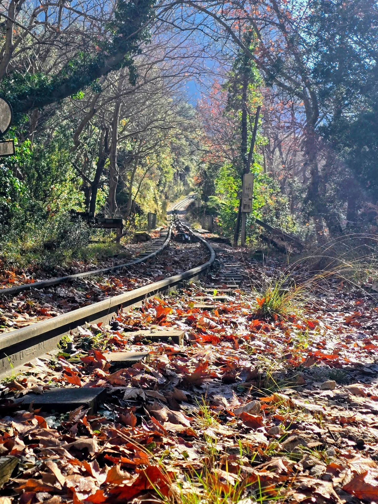 Grateful for Kalavrita’s trails and Greece’s endless beauty. 🌿🧡
.
Each step with a group of wanderers reminds us why we create retreats: to discover the world, one trail at a time, and to return with more breath, more balance, and more stories. 🌞❤️
.
Our 2026 calendar is open—if you’re craving space to move, breathe, and connect, we’d love for you to join us on the next path when the time feels right. 🌸🤍
.
.
.
.
.
.
.
.
#NefeliNineRetreats #Kalavrita #GreeceBeauty #YogaRetreat #HikingWithHeart #NefeliNineRetreats #HikingAndYogaAdventures #ExploreMore #Greece #NatureLovers #MindfulMovement #WellnessTravel #TrailMagic #AdventureLovers #YogaInNature #TravelGreece #SustainableTravel #GroupRetreat #ExploreMore