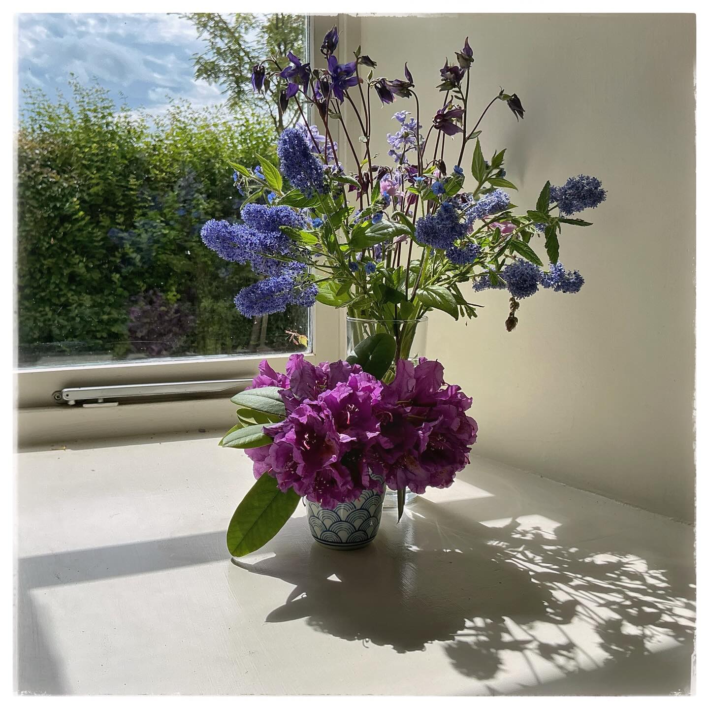 🪻
A wee Sunday windowsill with all the shades from my unkempt garden.
I know they won’t live long indoors but they make me happy🤗
#gardengleanings
#sundaymood☀️ 🪻
A wee Sunday windowsill with all the shades from my unkempt garden.
I know they won’t live long indoors but they make me happy🤗
#gardengleanings
#sundaymood☀️